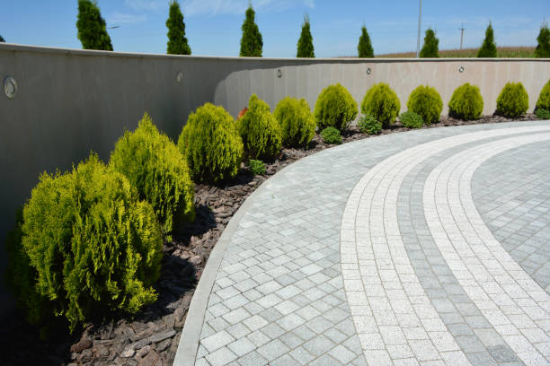 Best Brick Driveway Pavers  in Withamsville, OH